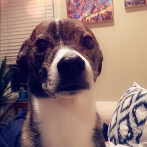 Meet your Posher, Elizabeth